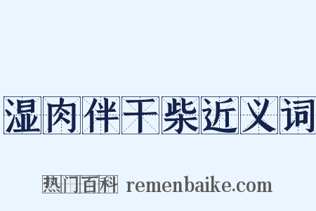 湿肉伴干柴近义词是什么意思的图片